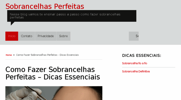 sobrancelhasperfeitas.com