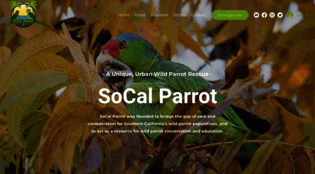 socalparrot.org