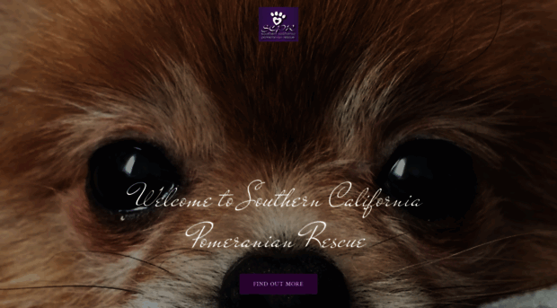 socalpomrescue.org