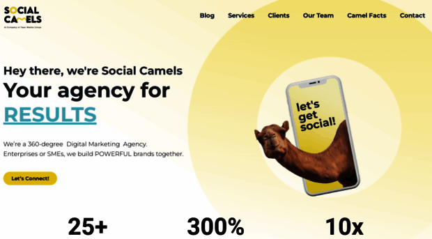 socialcamels.com