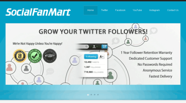 socialfanmart.com