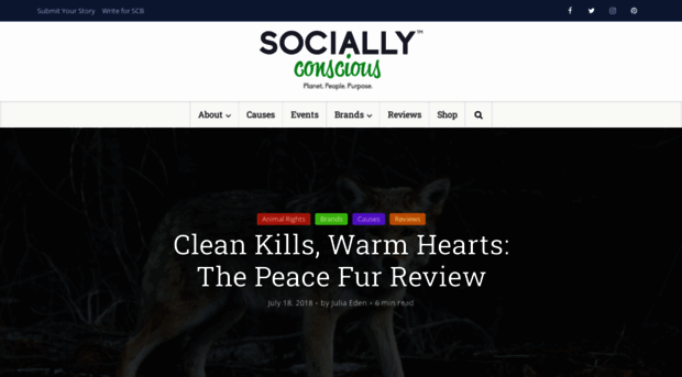 sociallyconsciousbrands.com