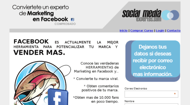 socialmediaexpertos.com