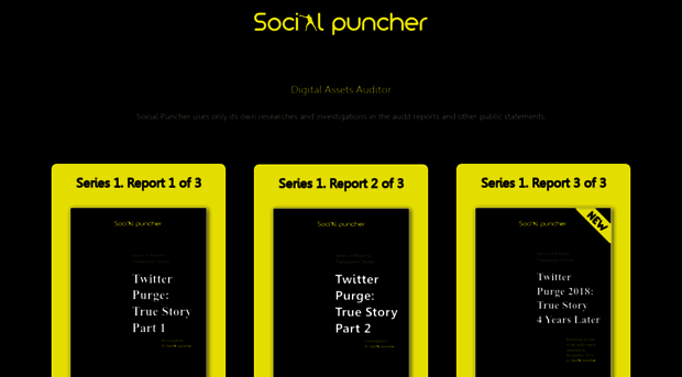 socialpuncher.com