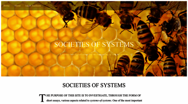 societies-of-systems.com