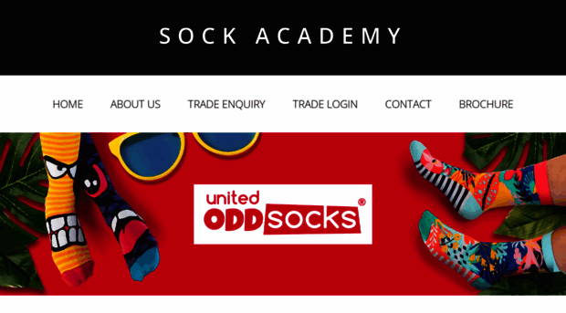 sockacademy.com