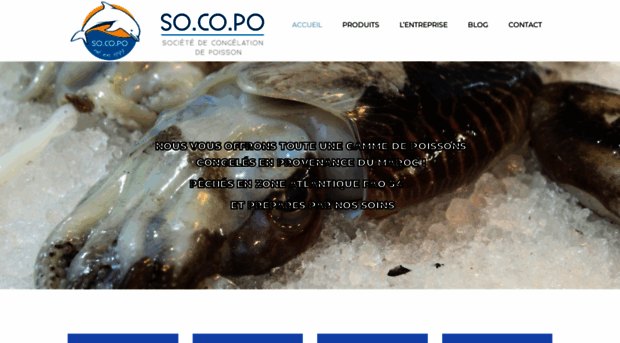 socopo-sarl.com