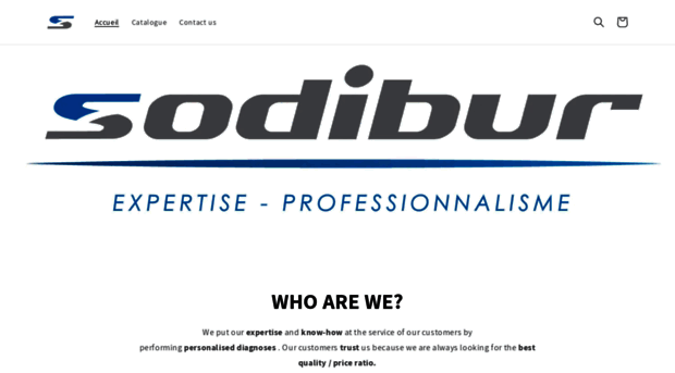 sodibur-maurice.com