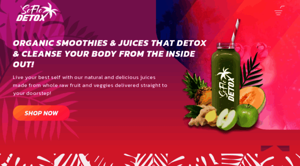 soflodetox.com