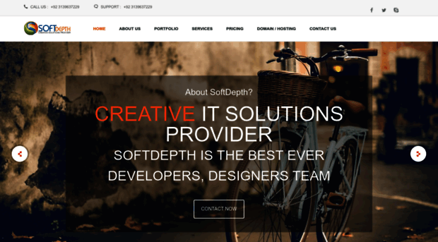 softdepth.com