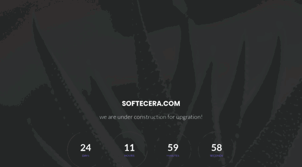 softecera.com