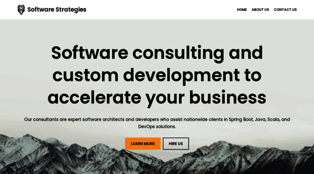 software-strategies.com