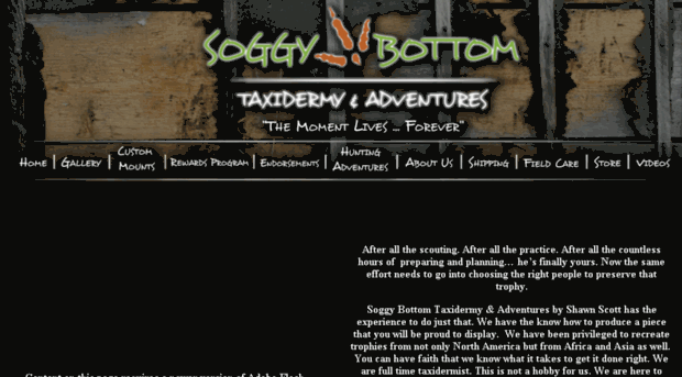 soggybottomtaxidermy.com