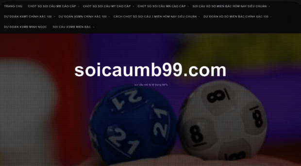 soicaumb99.com