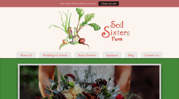 soilsisters.org