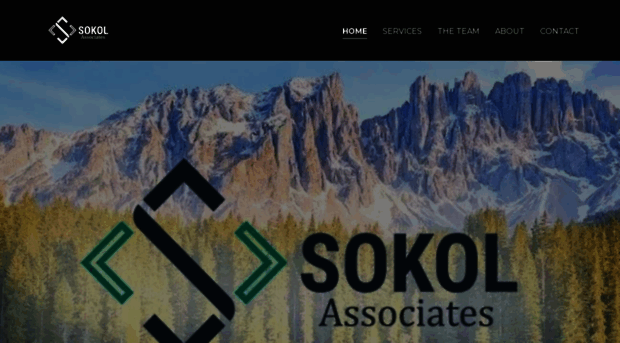 sokolassociates.com