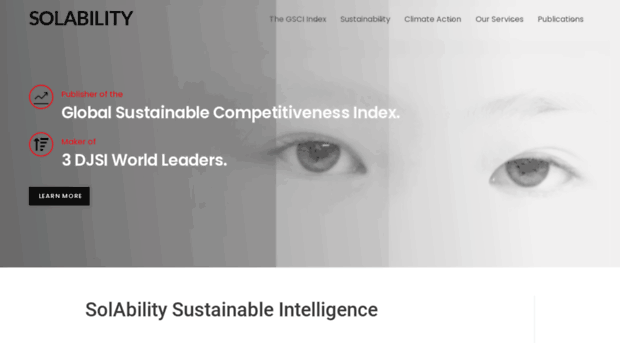 solability.com