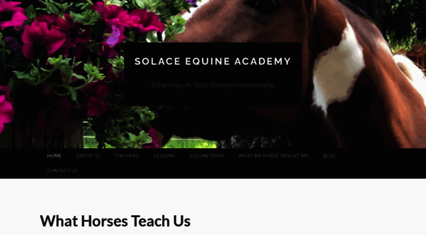 solaceequineacademy.com