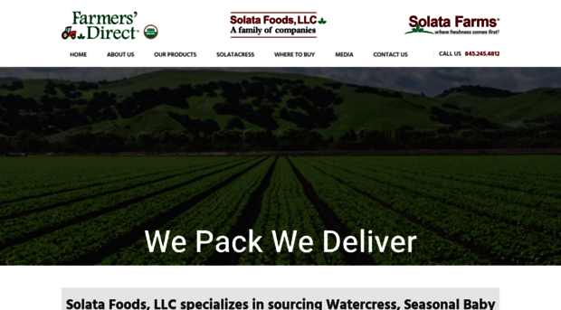 solatafoods.com