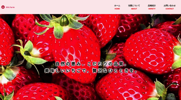 solfarm2023.com