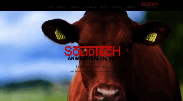 solidtechah.com