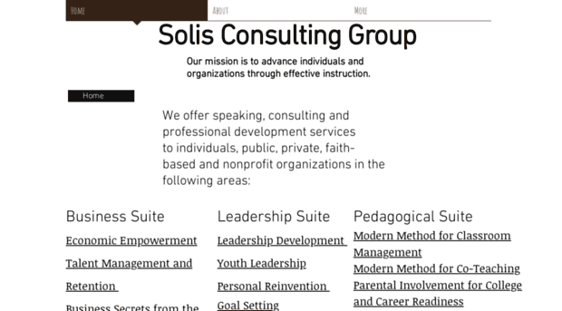 solisconsultinggroup.net