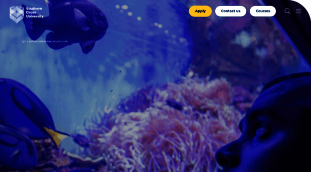 solitaryislandsaquarium.com