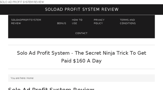 soloadprofitsystemreview.com