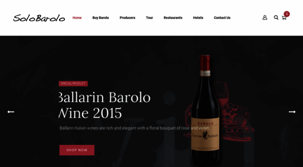 solobarolo.com