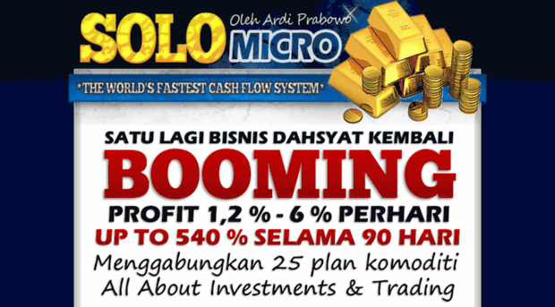 solomicroinvestment.net