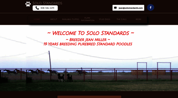 solostandards.com