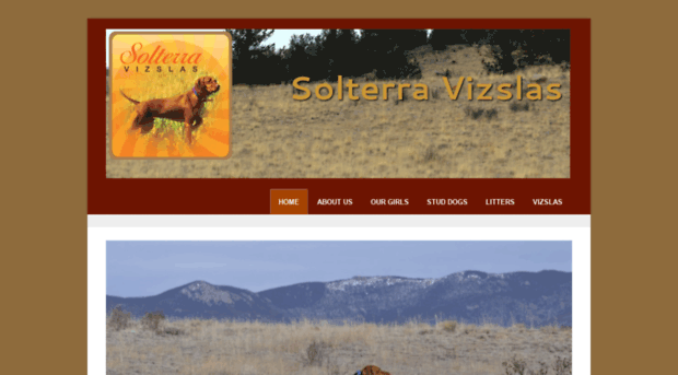 solterravizslas.com