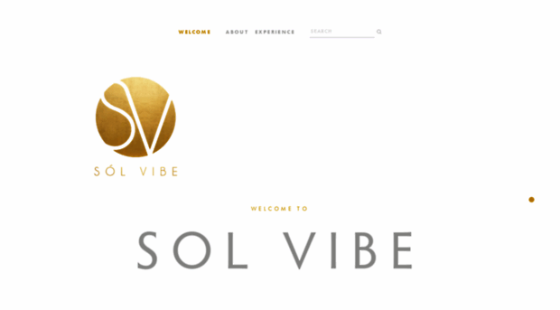 solvibestudio.com