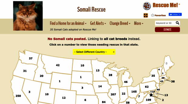 somali.rescueme.org