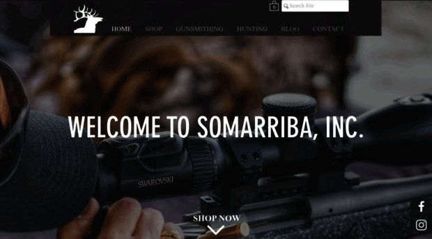 somarriba.com