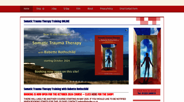 somatictraumatherapy-london.com