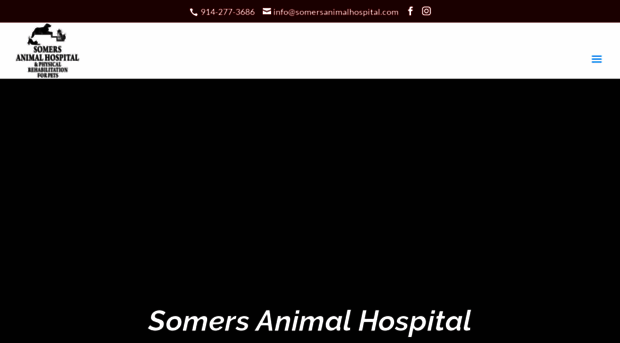 somersanimalhospital.com