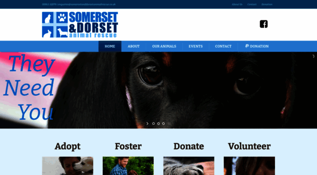 somersetanddorsetanimalrescue.co.uk