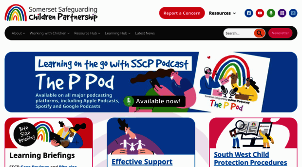 somersetsafeguardingchildren.org.uk