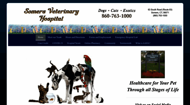 somersveterinaryhospital.com