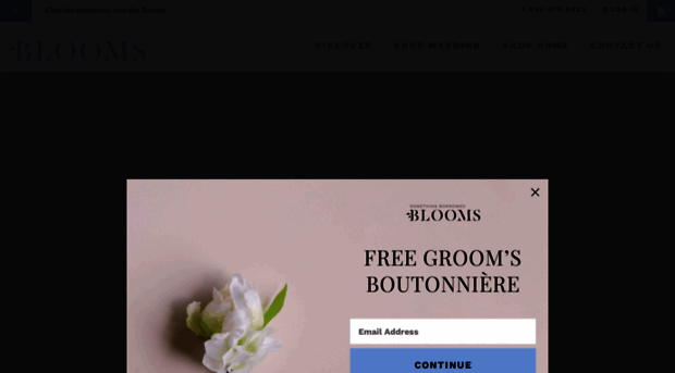 somethingborrowedblooms.com