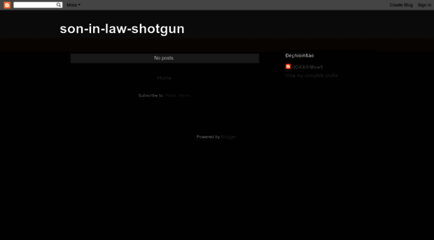 son-in-law-shotgun.blogspot.ch