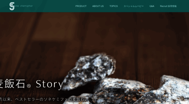 sonegroup.co.jp