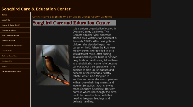 songbirdcareandeducation.org