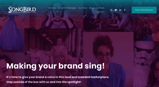 songbirdmarketing.com