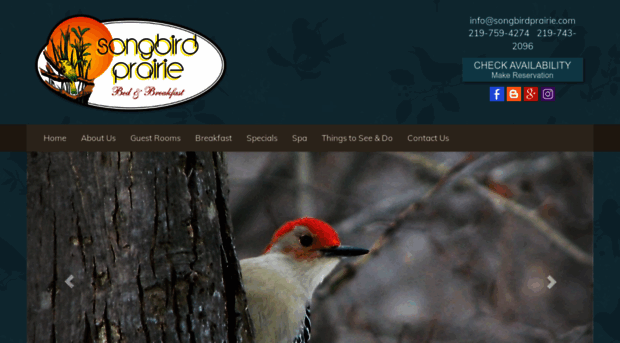 songbirdprairie.com