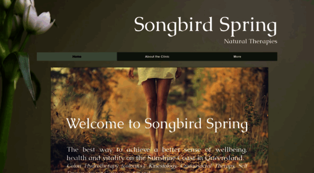 songbirdspring.com