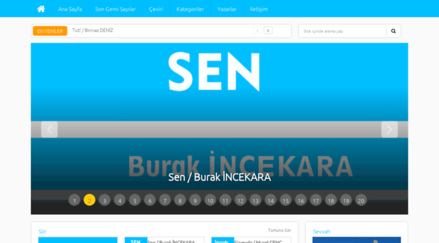 songemidergisi.com