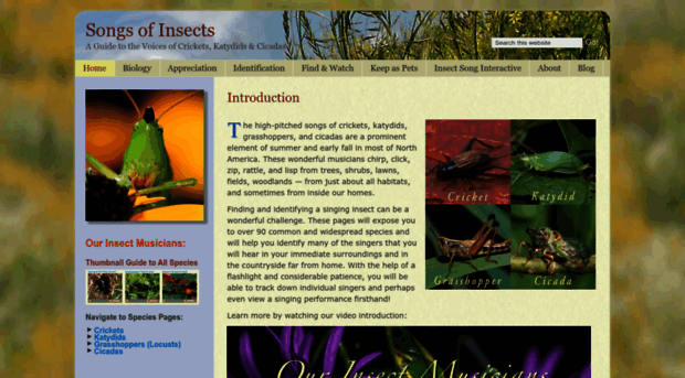 songsofinsects.com