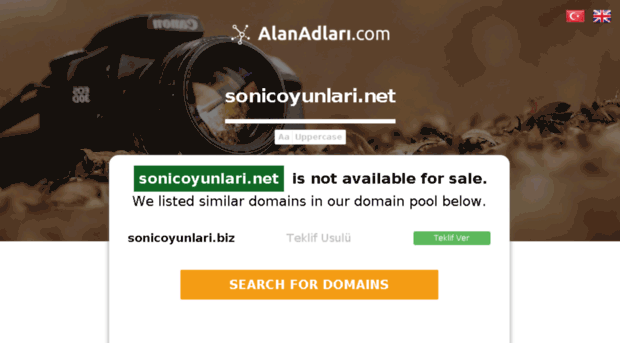 sonicoyunlari.net